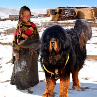 Telegram profile photo for Saroj rathour