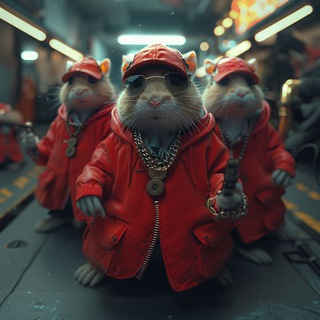 Telegram profile photo for Криптопанки 💰