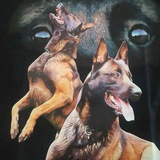 Telegram profile photo for Sb's.kennel