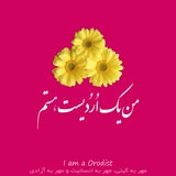 Telegram profile photo for دوستدار فلسفه اُرُدیسم ORODISM
