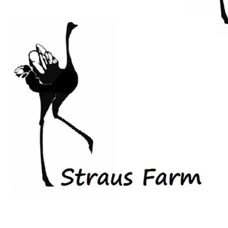 Telegram profile photo for 🇺🇿Straus Farm🇬🇧