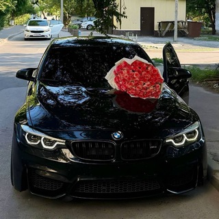 Telegram profile photo for 💎 Пополнить монеты в тик ток TikTok Boost ||Подписчики