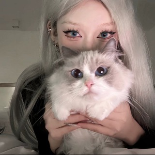 Telegram profile photo for ”Camellia”头像