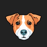 Telegram profile photo for YaMikki Brothers