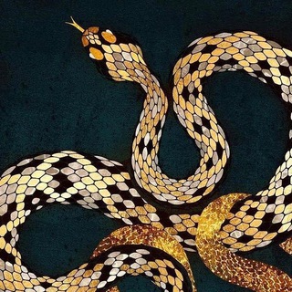 Telegram group profile photo for VIPER OTC🐍 || Верификации🥇