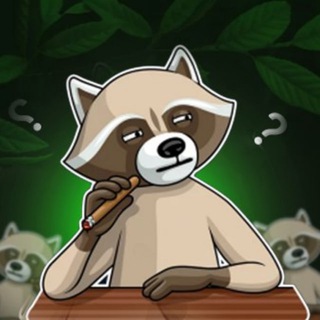 Telegram profile photo for Racoon INFO🦝🌳