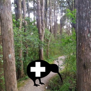 Telegram profile photo for Healing Kiwis