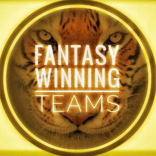 Telegram profile photo for RAHUL FANTASY TEAM CRICKET king fentasy expert guru adda mycircle my fab11 official fantacy Yadav Verma dream11 11 malik mumbai