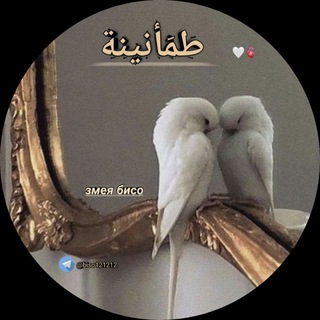 Telegram profile photo for طمَأنينة🫀🤍