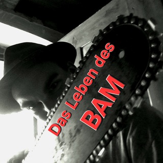 Telegram profile photo for Das Leben des BAM