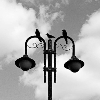 Telegram profile photo for taw taw