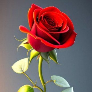 Telegram profile photo for ပိုးအိခိုင်~~2D3D Daily Free Gp