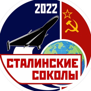 Telegram profile photo for Сталинские соколы