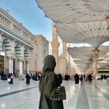 Telegram profile photo for الجوديّ 🌱