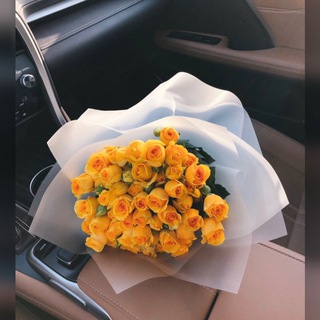 Telegram profile photo for ورد أصفر 💛.