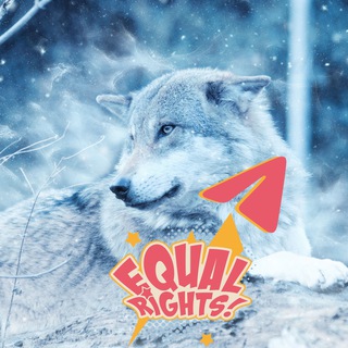 Telegram profile photo for Wolf Animal Rights on Telegram by GRT : No death penalty to wolves - death sentence instead to criminals for animal torture!