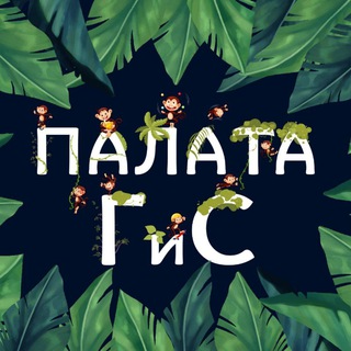 Telegram profile photo for Палата обезьян 🙈🙉🙊