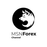 Telegram profile photo for MSNFX
