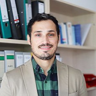 Telegram profile photo for Dionis Cenusa - political risk analyst