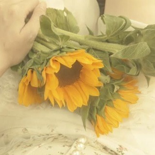 Telegram profile photo for ..