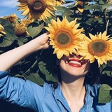 Telegram profile photo for آفتابگردون