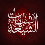 Telegram profile photo for Shia filthy narrations