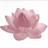 Telegram profile photo for π―ππππ ππ π²πΔ±πππΎππ ππΏ π₯πΊππΎ