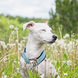 Telegram profile photo for Фотограф | Киров | Котельнич