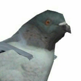 Telegram profile photo for Ты дебил ᵛ²