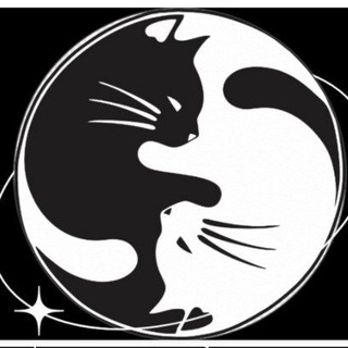 Telegram profile photo for "Белояр"-приют бездомных котят Калининград😺