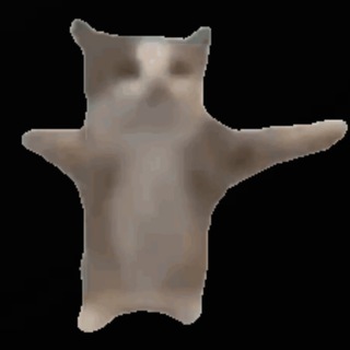 Telegram profile photo for happi cat portal