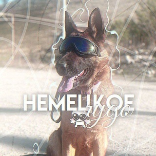 Telegram profile photo for 🇩🇪Немецкое чудо 🇩🇪