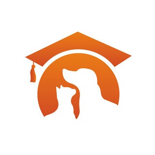 Telegram profile photo for ШПО им. В.Н.Митина