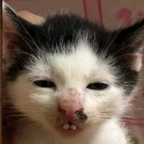 Telegram profile photo for Термомозайка. Рисунки по клеточкам. Идеи и схемы.