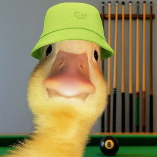 Telegram profile photo for Action store 🎱