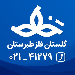 Telegram profile photo for گلستان فلز طبرستان