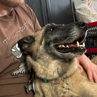 Telegram profile photo for TwoWholeWorms Feed