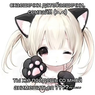 Telegram group profile photo for Психбольница №69❤️🔥