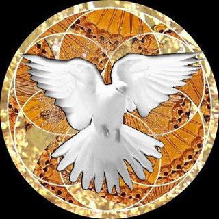 Telegram profile photo for HISTORIAS DEL FUTURO