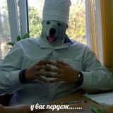 Telegram profile photo for У вас пердьож
