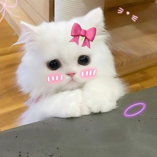 Telegram profile photo for مِيم🎀