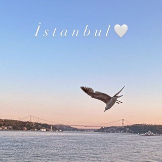 Telegram profile photo for Dizimaniya🇹🇷