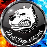 Telegram profile photo for GRUPPI & CANALI