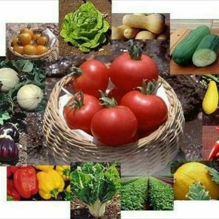 Telegram profile photo for محصولات محلی شهرکرد