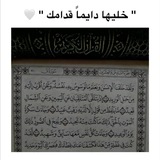 Telegram profile photo for ريلزات قرآن 🕊