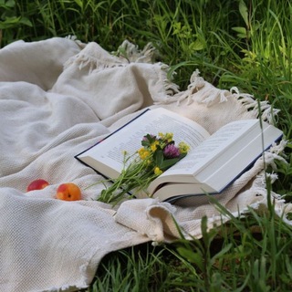 Telegram profile photo for 📚КНИГООБМЕН боксами🎁
