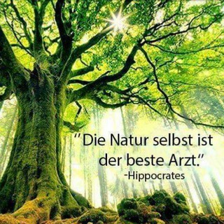 Telegram profile photo for Gesundheit & Dekoration aus der Natur
