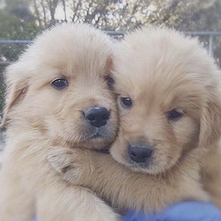 Telegram profile photo for нилин шедерощп