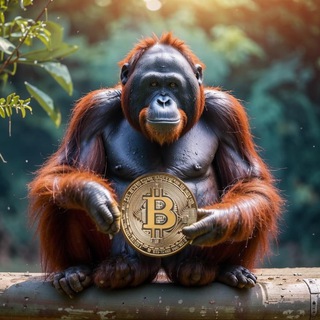 Telegram profile photo for Orangutang COIN