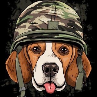 Telegram profile photo for P8TRIOTBEAGLE